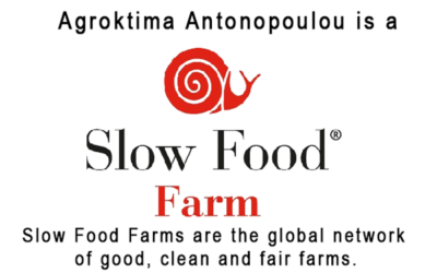 slow food-logo για site slow food-logo για site